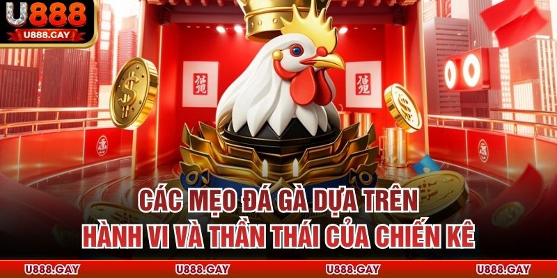 Các mẹo đá gà dựa trên hành vi và thần thái của chiến kê