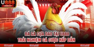 Đá Gà Cựa Dao Tại U888 – Trải Nghiệm Cá Cược Hấp Dẫn