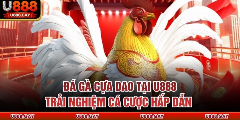 Đá Gà Cựa Dao Tại U888 – Trải Nghiệm Cá Cược Hấp Dẫn