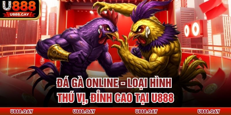 Đá Gà Online - Loại Hình Thú Vị, Đỉnh Cao Tại U888