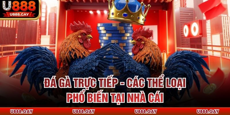Đá Gà Trực Tiếp - Các Thể Loại Phổ Biến Tại Nhà Cái