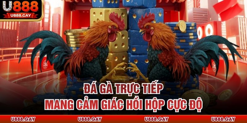Đá gà trực tiếp mang cảm giác hồi hộp cực độ