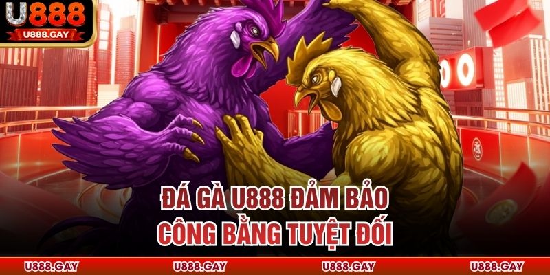 Đá gà U888 đảm bảo công bằng tuyệt đối