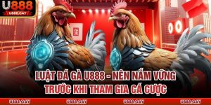 Luật Đá Gà U888 - Nên Nắm Vững Trước Khi Tham Gia Cá Cược