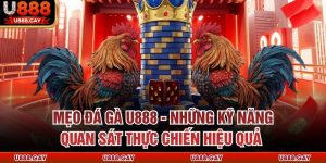 Mẹo Đá Gà U888 - Những Kỹ Năng Quan Sát Thực Chiến Hiệu Quả