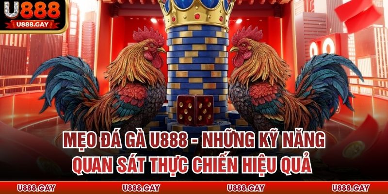 Mẹo Đá Gà U888 - Những Kỹ Năng Quan Sát Thực Chiến Hiệu Quả