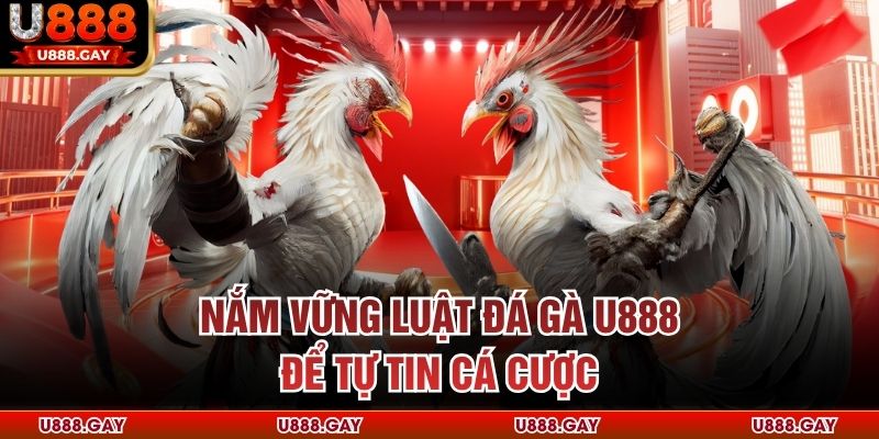Nắm vững luật đá gà U888 để tự tin cá cược