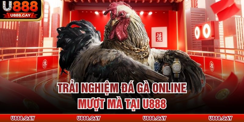 Trải nghiệm đá gà online mượt mà tại U888 