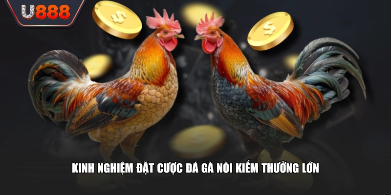 Đá Gà Nòi Thỏa Mãn Đam Mê Với Các Màn Đấu Đỉnh Cao 4 Kinh nghiệm đặt cược đá gà nòi kiếm thưởng lớn