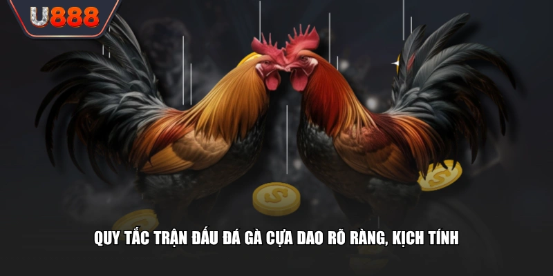 Quy tắc trận đấu đá gà cựa dao rõ ràng, kịch tính
