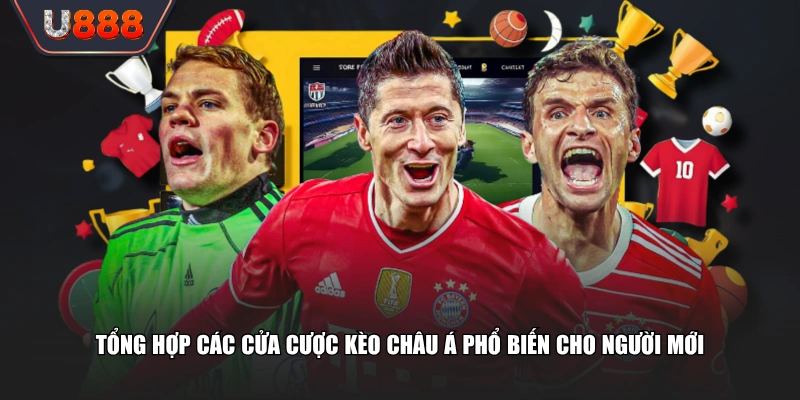 Kèo Châu Á Là Gì? Hướng Dẫn Vào Kèo Dễ Ăn Từ Cao Thủ 3 Tổng hợp các cửa cược kèo châu Á phổ biến cho người mới