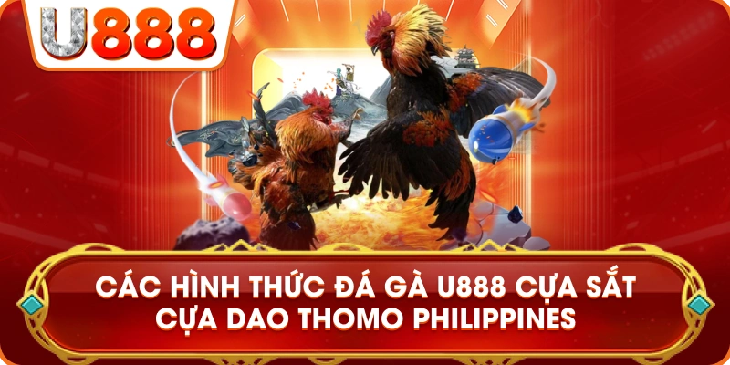 cac_hinh_thuc_da_ga_u888_cua_sat_cua_dao_thomo